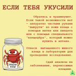 image009