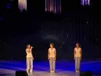 image009